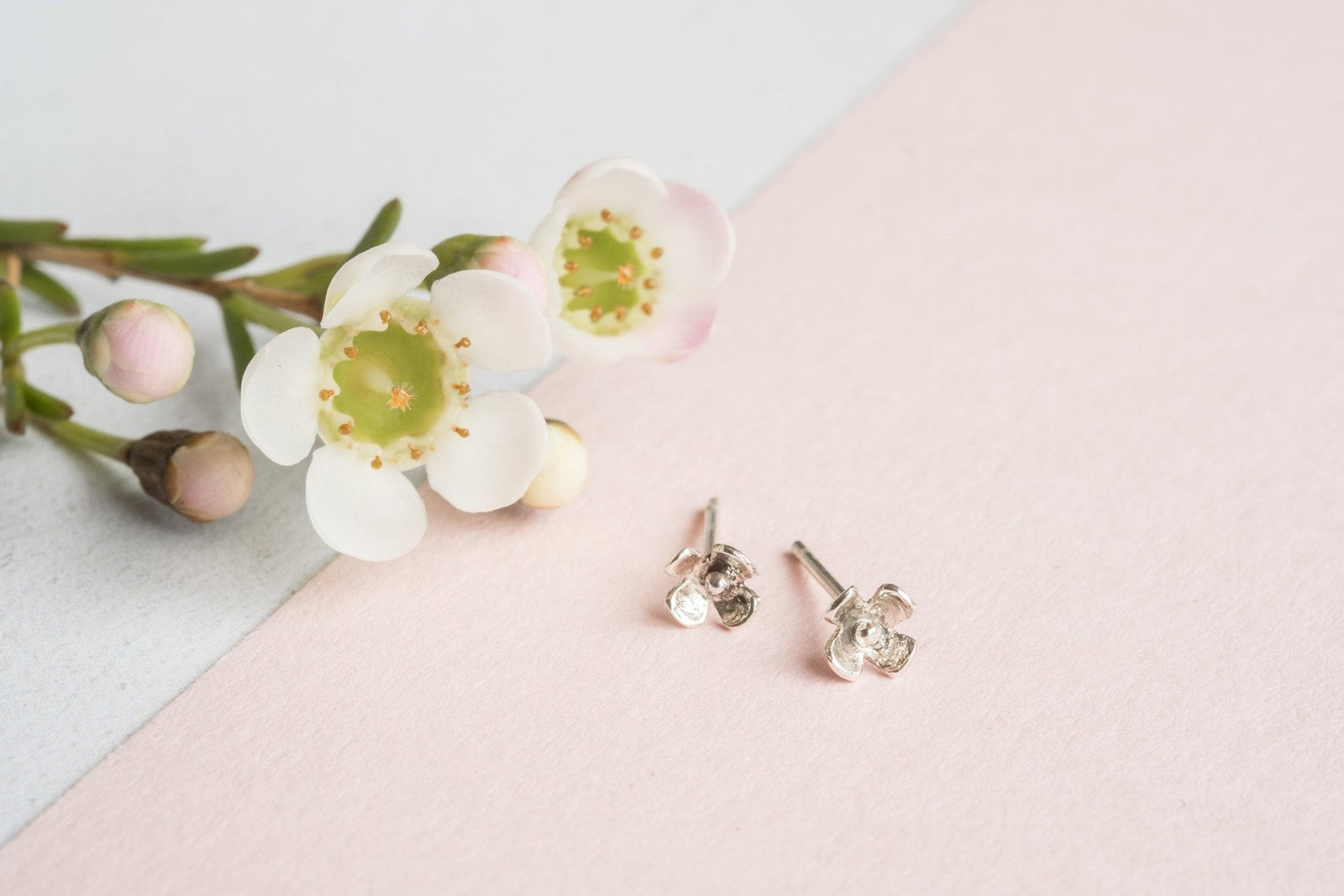 Daisy Sterling Silver Earrings Lunar Moth Jewellery